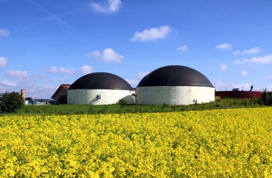Bio Fuel Production Plant
