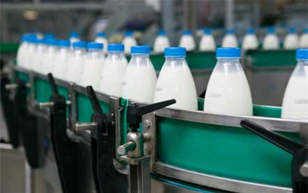 Milk Production Milk Production