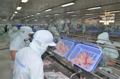 Seafood Processing Plant Seafood Processing Plant