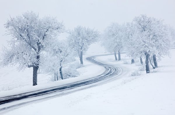Winter-(1).JPG
